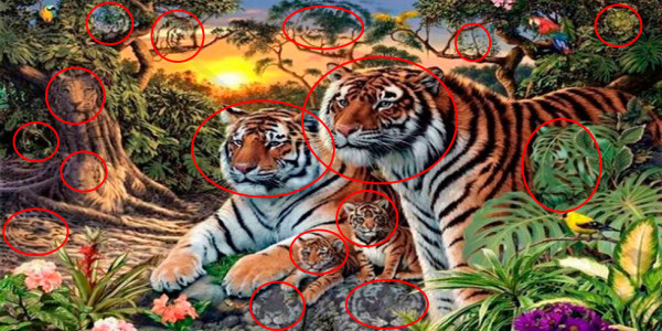 nuevo-reto-viral-cuantos-tigres-puedes-ver-en-la-imagen-2-2016