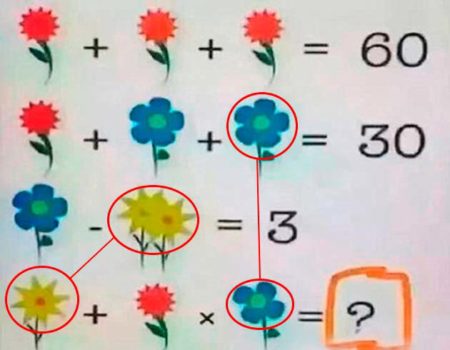 un-nuevo-reto-matematico-es-viral-en-internet-sabrias-averiguar-la-respuesta-solucion-flor-flores-2-2016